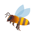 Bee