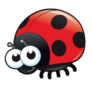 Bug