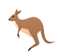 Canguru