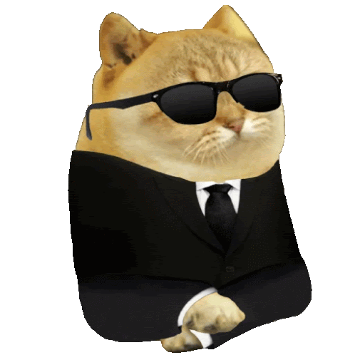Catcoin Crypto