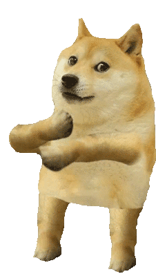 Dog Husky