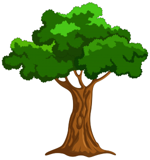 Arvore